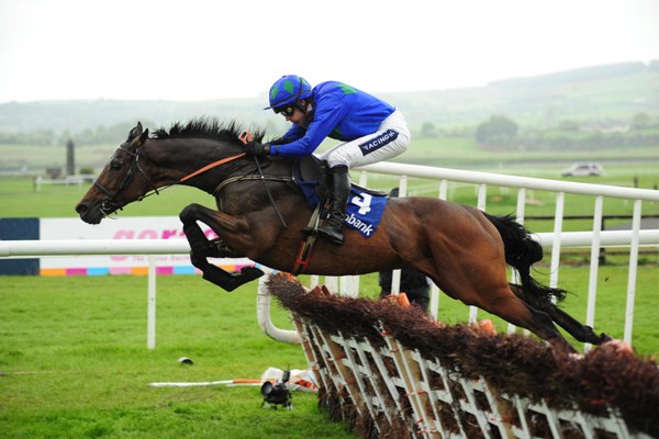 Hurricane Fly