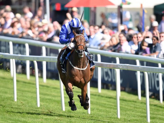 Taghrooda