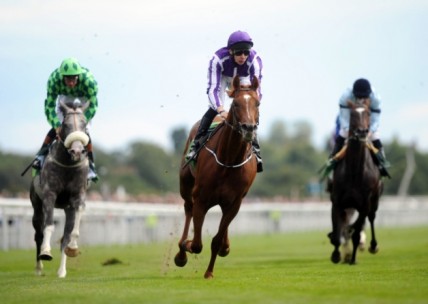 Aidan O'Brien