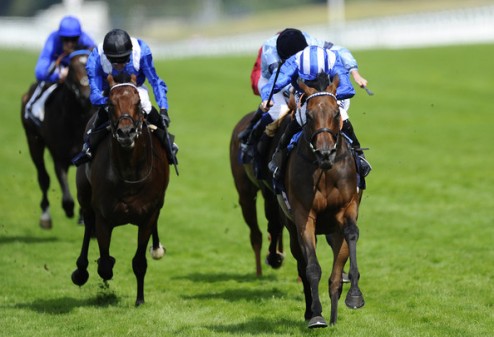 Taghrooda