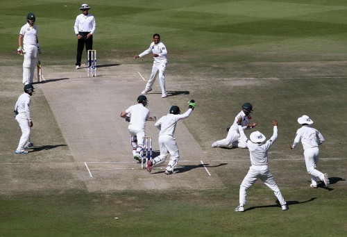 Cricket