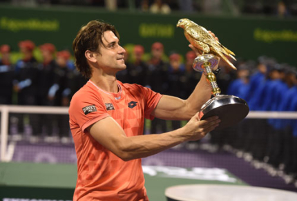David Ferrer