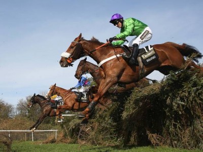 Grand National Cheltenham Gold Cup