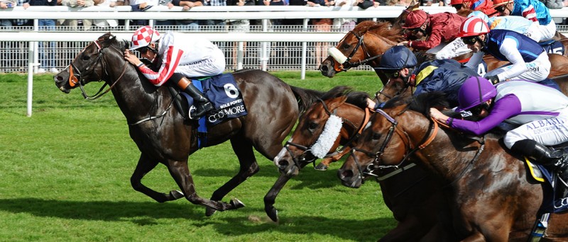 horse race