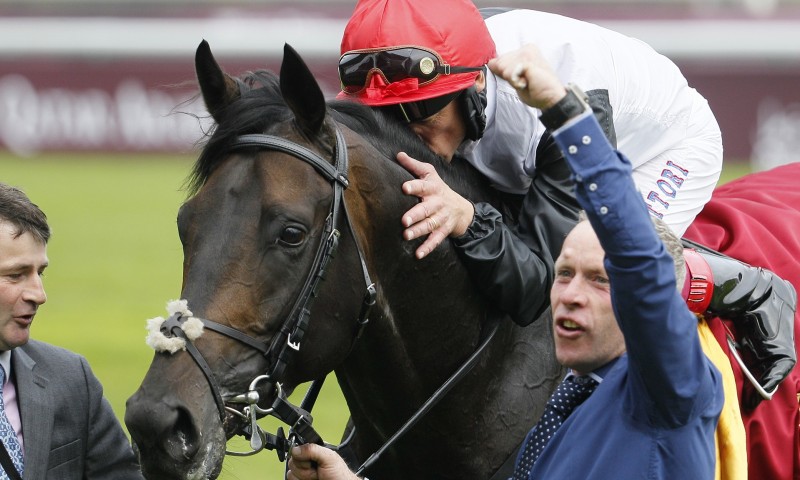 Golden Horn horse