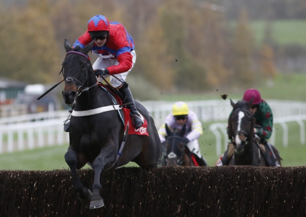 Cheltenham victory