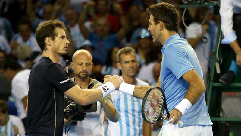 Juan Martin Del Potro, Andy Murray